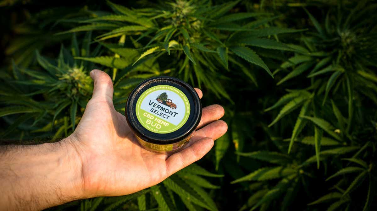 The Exciting Launch Of Our Web Store